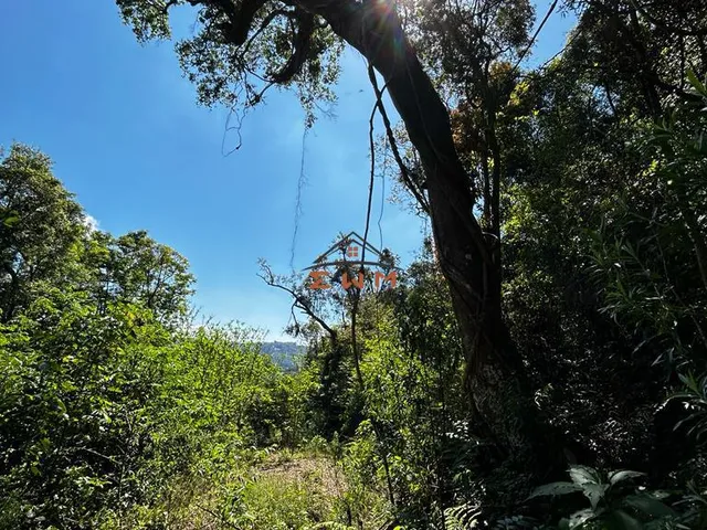 Imagem 7: Chácara em Linha São Miguel em Farroupilha/Rs