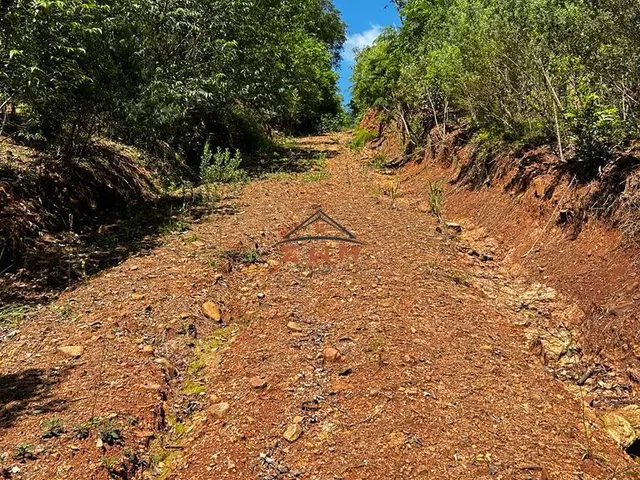 Imagem 8: Chácara em Linha São Miguel em Farroupilha/Rs