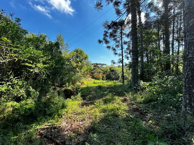 Imagem 10: Chácara em Linha São Miguel em Farroupilha/Rs