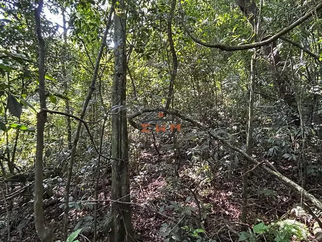 Imagem 13: Chácara em Linha São Miguel em Farroupilha/Rs