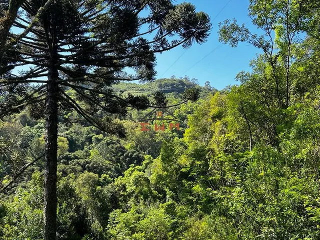 Imagem 15: Chácara em Linha São Miguel em Farroupilha/Rs