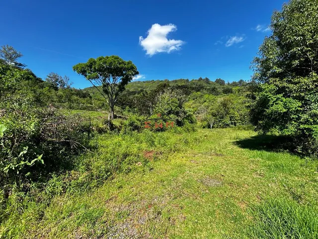 Imagem 10: Chácara em Linha São Miguel em Farroupilha/Rs
