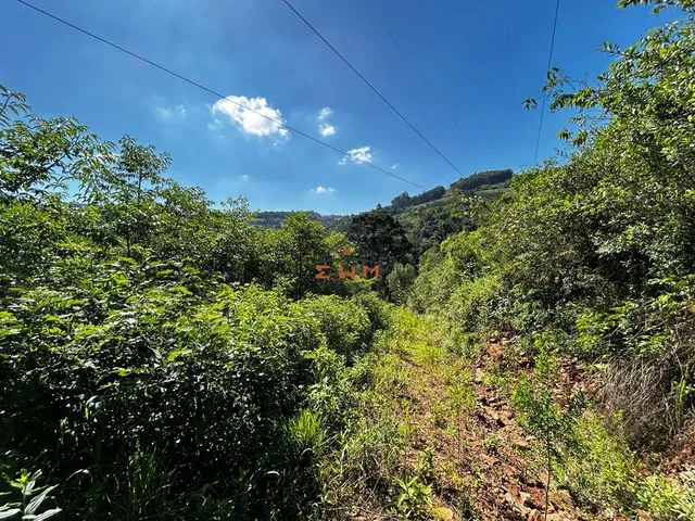 Imagem 16: Chácara em Linha São Miguel em Farroupilha/Rs
