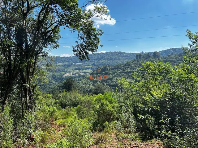 Imagem: Chácara em Linha São Miguel em Farroupilha/Rs