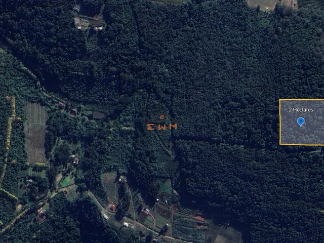 Imagem 2: Chácara em Linha São Miguel em Farroupilha/Rs