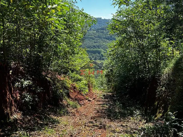 Imagem 4: Chácara em Linha São Miguel em Farroupilha/Rs