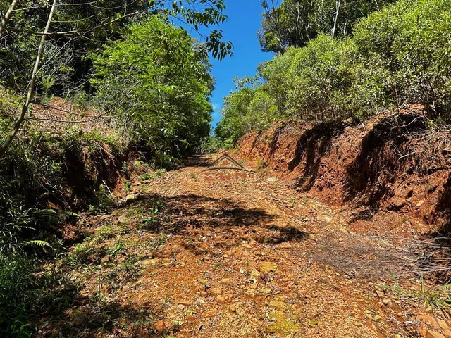 Imagem 7: Chácara em Linha São Miguel em Farroupilha/Rs