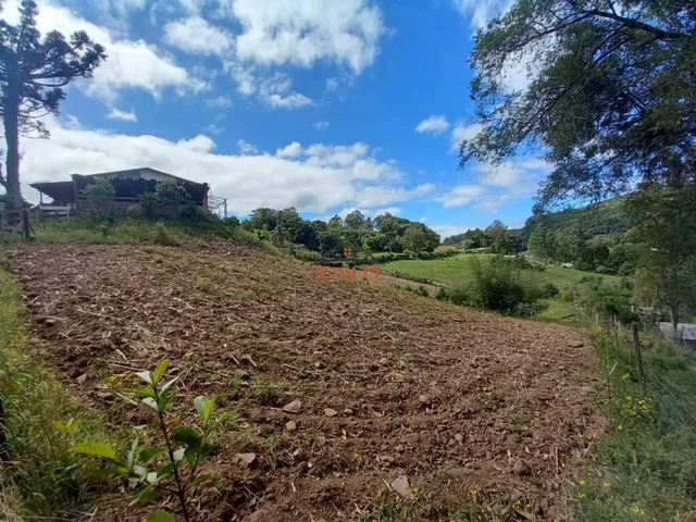 Imagem 2: Chácara em Linha Ely em Farroupilha/Rs