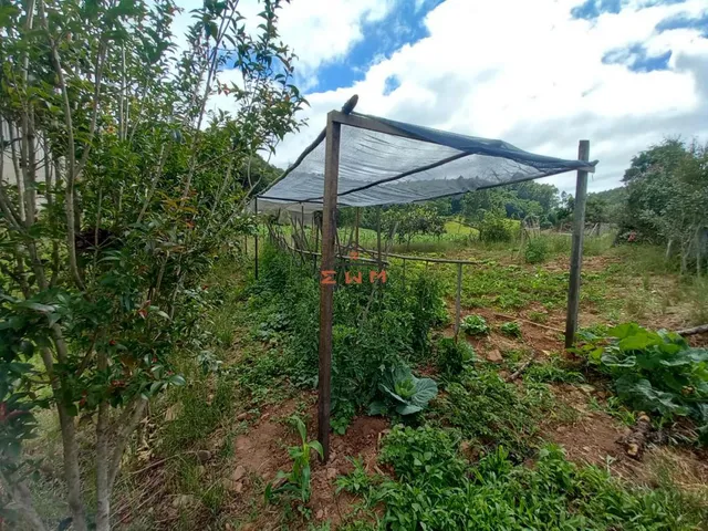 Imagem 3: Chácara em Linha Ely em Farroupilha/Rs