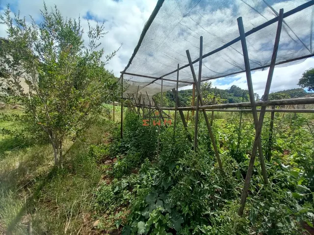 Imagem 7: Chácara em Linha Ely em Farroupilha/Rs