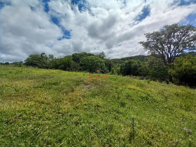 Imagem 8: Chácara em Linha Ely em Farroupilha/Rs