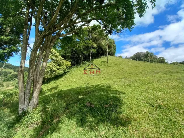 Imagem 10: Chácara em Linha Ely em Farroupilha/Rs