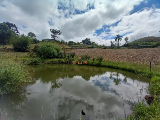 Imagem 11: Chácara em Linha Ely em Farroupilha/Rs