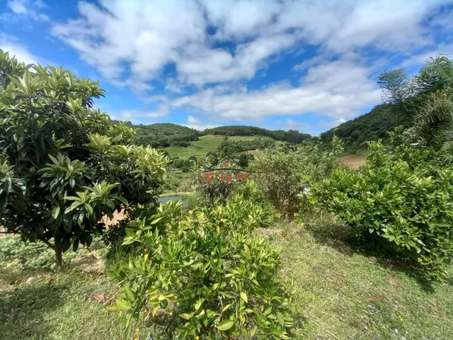 Imagem 12: Chácara em Linha Ely em Farroupilha/Rs