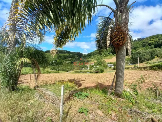 Imagem 16: Chácara em Linha Ely em Farroupilha/Rs