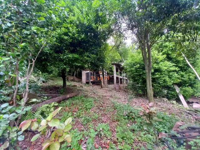 Imagem 4: Chácara na Linha Bohemios em Farroupilha/ Rs