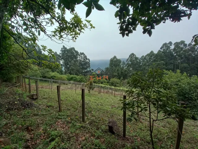 Imagem 6: Chácara na Linha Bohemios em Farroupilha/ Rs