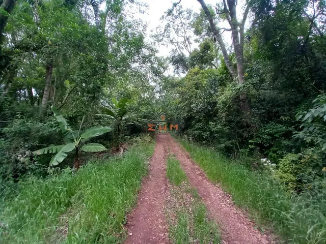 Imagem 7: Chácara na Linha Bohemios em Farroupilha/ Rs