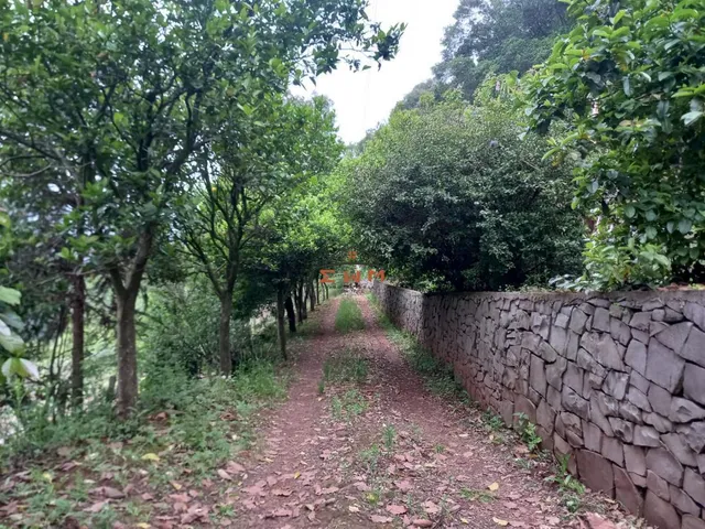 Imagem 10: Chácara na Linha Bohemios em Farroupilha/ Rs