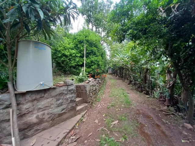 Imagem 15: Chácara na Linha Bohemios em Farroupilha/ Rs
