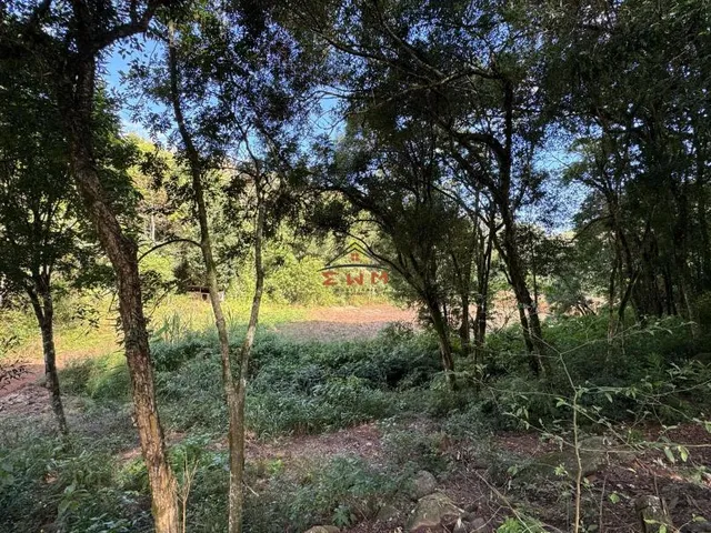 Imagem 5: Chácara em Linha Ely em Farroupilha/Rs