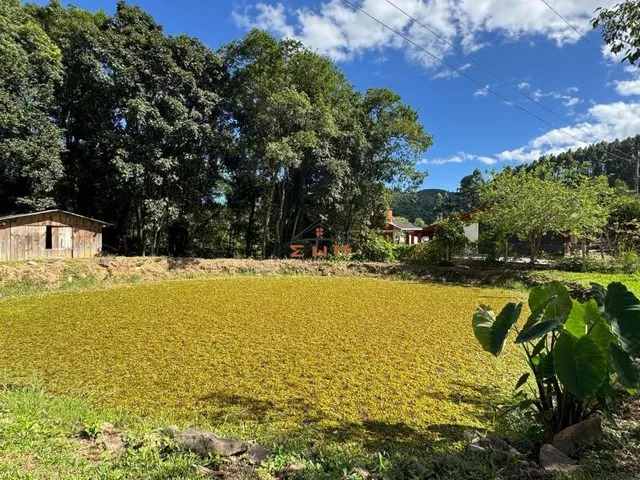 Imagem 6: Chácara em Linha Ely em Farroupilha/Rs
