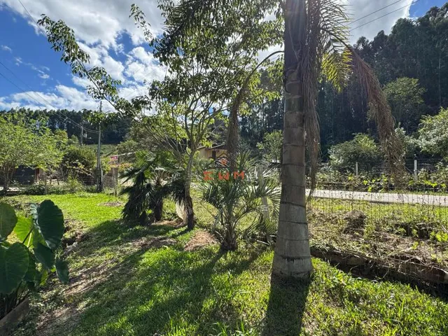 Imagem 8: Chácara em Linha Ely em Farroupilha/Rs