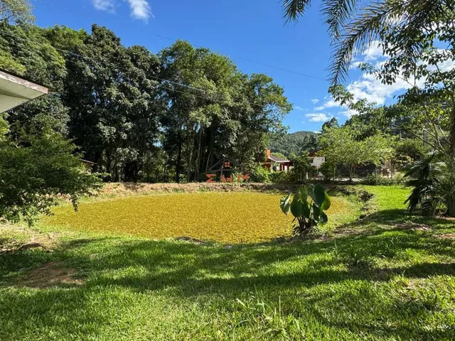 Imagem 11: Chácara em Linha Ely em Farroupilha/Rs