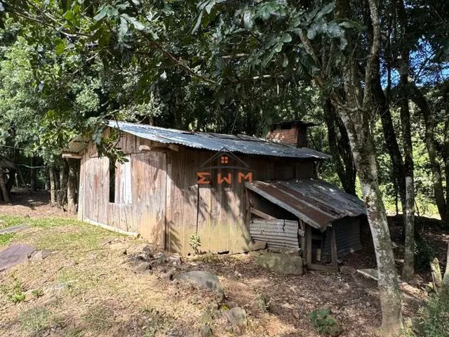 Imagem 14: Chácara em Linha Ely em Farroupilha/Rs