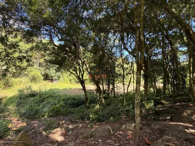 Imagem 15: Chácara em Linha Ely em Farroupilha/Rs