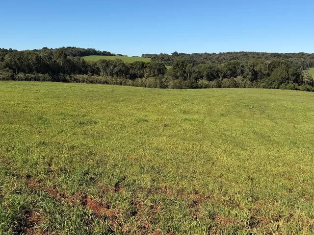 Imagem 15: Fazenda a Venda no Oeste Catarinense - Campos Novos