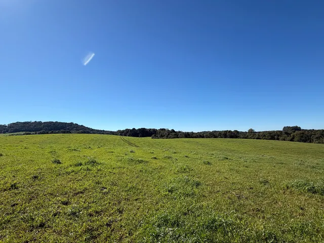 Imagem 6: Fazenda a Venda no Oeste Catarinense - Campos Novos