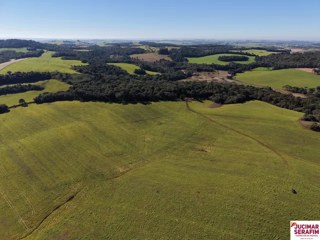 Imagem: Fazenda a Venda no Oeste Catarinense - Campos
