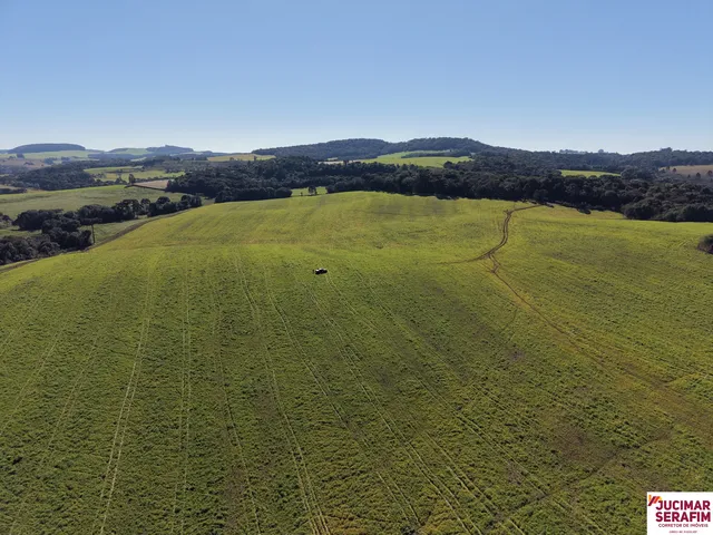 Imagem 9: Fazenda a Venda no Oeste Catarinense - Campos Novos