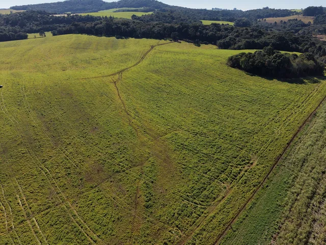 Imagem 12: Fazenda a Venda no Oeste Catarinense - Campos Novos