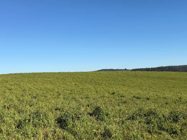 Imagem 2: Fazenda a Venda no Oeste Catarinense - Campos Novos