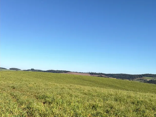 Imagem 11: Fazenda a Venda no Oeste Catarinense - Campos Novos