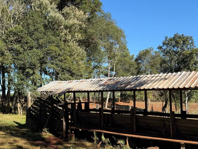 Imagem 10: Fazenda a Venda no Oeste Catarinense - Campos Novos