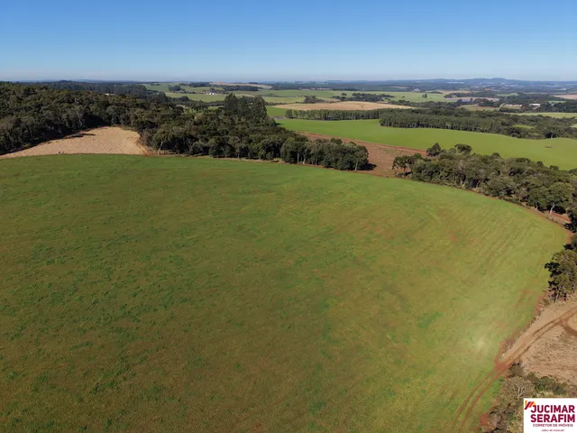 Imagem 5: Fazenda a Venda no Oeste Catarinense - Campos Novos