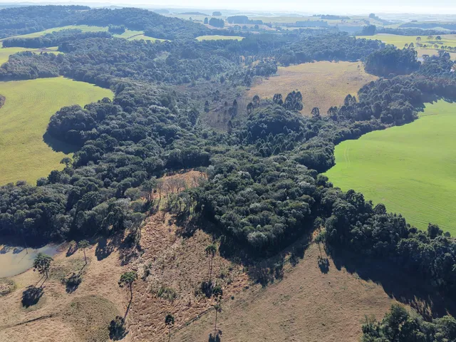 Imagem 3: Fazenda a Venda no Oeste Catarinense - Campos Novos