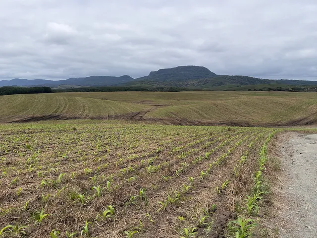 Imagem: Fazenda em Bom Retiro Sc