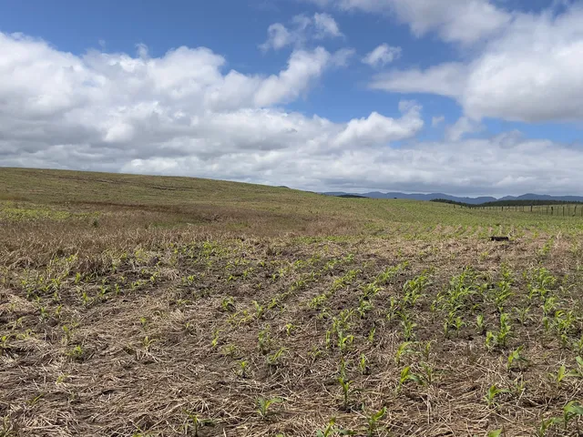 Imagem 6: Fazenda em Bom Retiro Sc