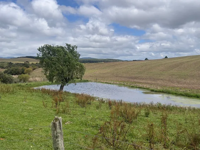 Imagem 7: Fazenda em Bom Retiro Sc