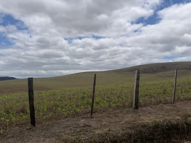 Imagem 14: Fazenda em Bom Retiro Sc