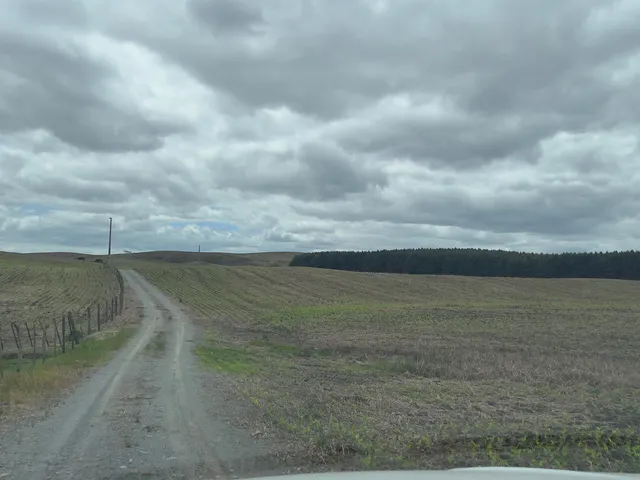 Imagem 16: Fazenda em Bom Retiro Sc