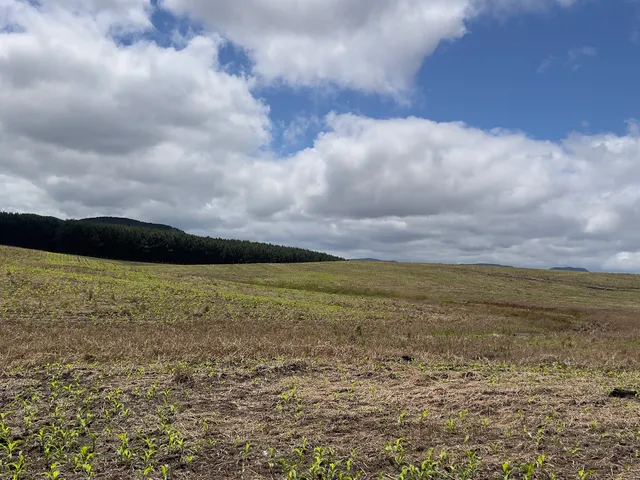 Imagem 15: Fazenda em Bom Retiro Sc