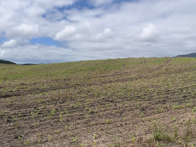 Imagem 13: Fazenda em Bom Retiro Sc