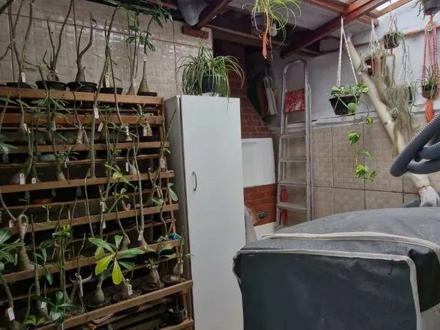 Imagem 16: Casa de Vila À Venda em Bertioga, Maitinga, com 02 Quartos, 53,98M²