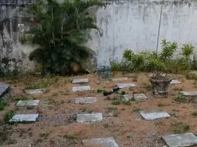 Imagem 11: Casa em Pitimbu - Casa em Pitimbu Boa Localização / Casa com 3/4 / Casa no Satélite/ Casa Padrão