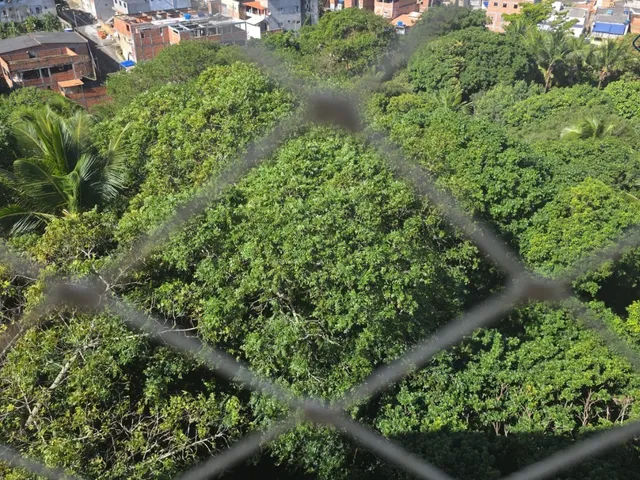 Imagem 3: 0 Apartamento com 2 dormitórios